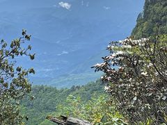 -瓦屋山景区