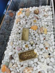 -中国黄金(北京旗舰店)