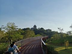 -王借岗森林公园