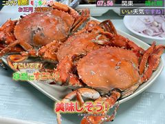 -蚝乡农庄(铁涌赤岸店)