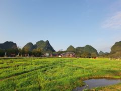 -靖西鹅泉风景区