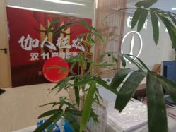 -归位瑜伽＆普拉提馆