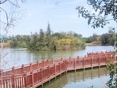 -五缘湾湿地公园
