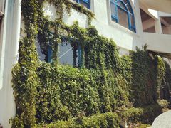 -丹樱生态园