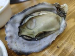 高压锅乳山生蚝-广味炭炉鸡煲(宝业路分店)