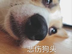 -品腐记·豆腐王朝(老门东总店)