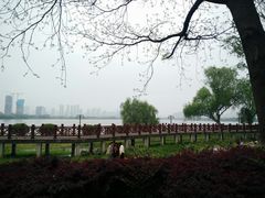-金银湖国家城市湿地公园