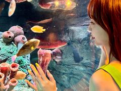 -沈阳海洋探索中心