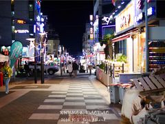 -宝健路步行街(Pedestrian Shopping Street)