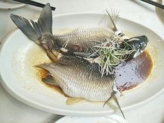 山溪鯇魚-海宝酒家(中山四路店)