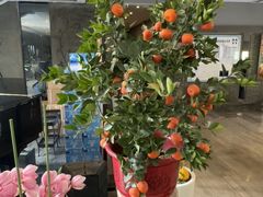 -茅庐·川粤精品私房菜(金沙遗址店)