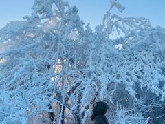 -湖州龙王山景区
