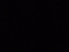 -东京包子楼(政七街店)