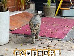 -广州珠江公园