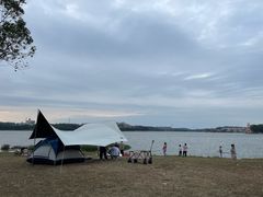 -仙湖旅游度假区