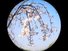 -缘久缘米粉(新街口店)