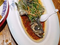 -花溪雨·森林餐厅(石基店)