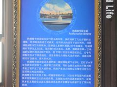 -贝壳王国博物馆