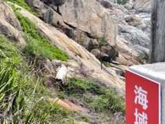 -螺洲公园