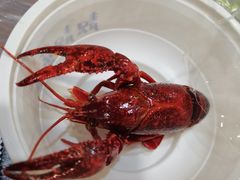 -靓靓蒸虾·头牌蒸虾(雪松路总店)