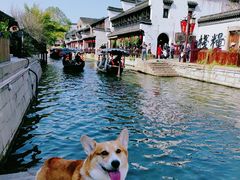 -状元楼(东大街店)