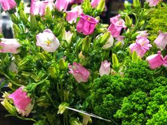 -豆豆花艺(新光天地店)