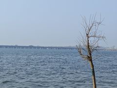 -丁香湖公园