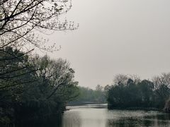 -西溪国家湿地公园