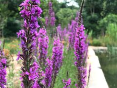 景点-红旗渠风景区