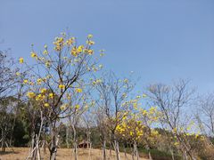 -中国移动南方基地