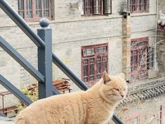 -终南山南五台景区