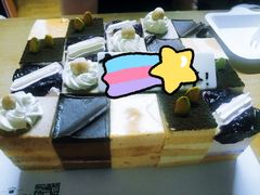 -维尔纳斯·生日蛋糕·动物奶油冰淇淋蛋糕(六里桥店)