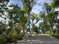 -岳麓山风景名胜区