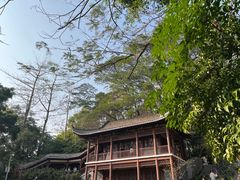 -深圳国际园林花卉博览园