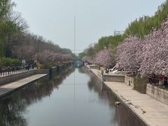 -元大都城垣遗址公园