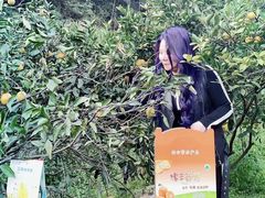 -广州市帽峰山景区