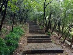 -紫金山山顶公园