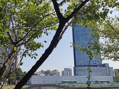 -望江楼公园