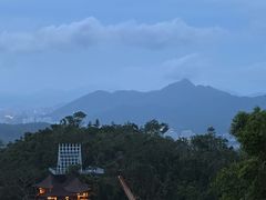 -三亚亚龙湾人间天堂鸟巢度假村