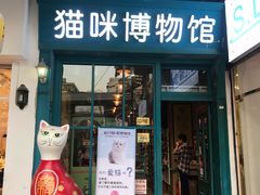 -猫咪博物馆(顶澳仔猫街店)