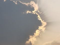 -霸王茶姬(西单百货店)