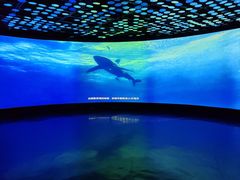 -同济大学四平路校区深海探索馆