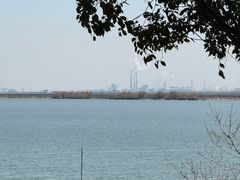-江滩湿地公园