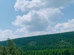 -塞罕坝国家级自然保护区