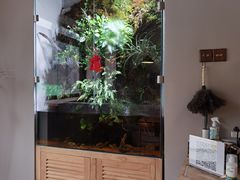 -小意思咖啡店(草桥店)