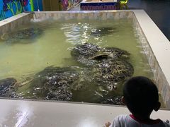 -常州海昌海洋探索馆