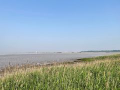 -上海吴淞炮台湾国家湿地公园