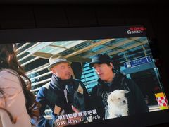 -君之悦·影院式足道·养生SPA(回兴店)