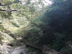 圆梦谷-罗田薄刀峰风景区