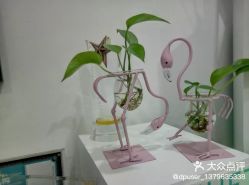 -时间海科学美容